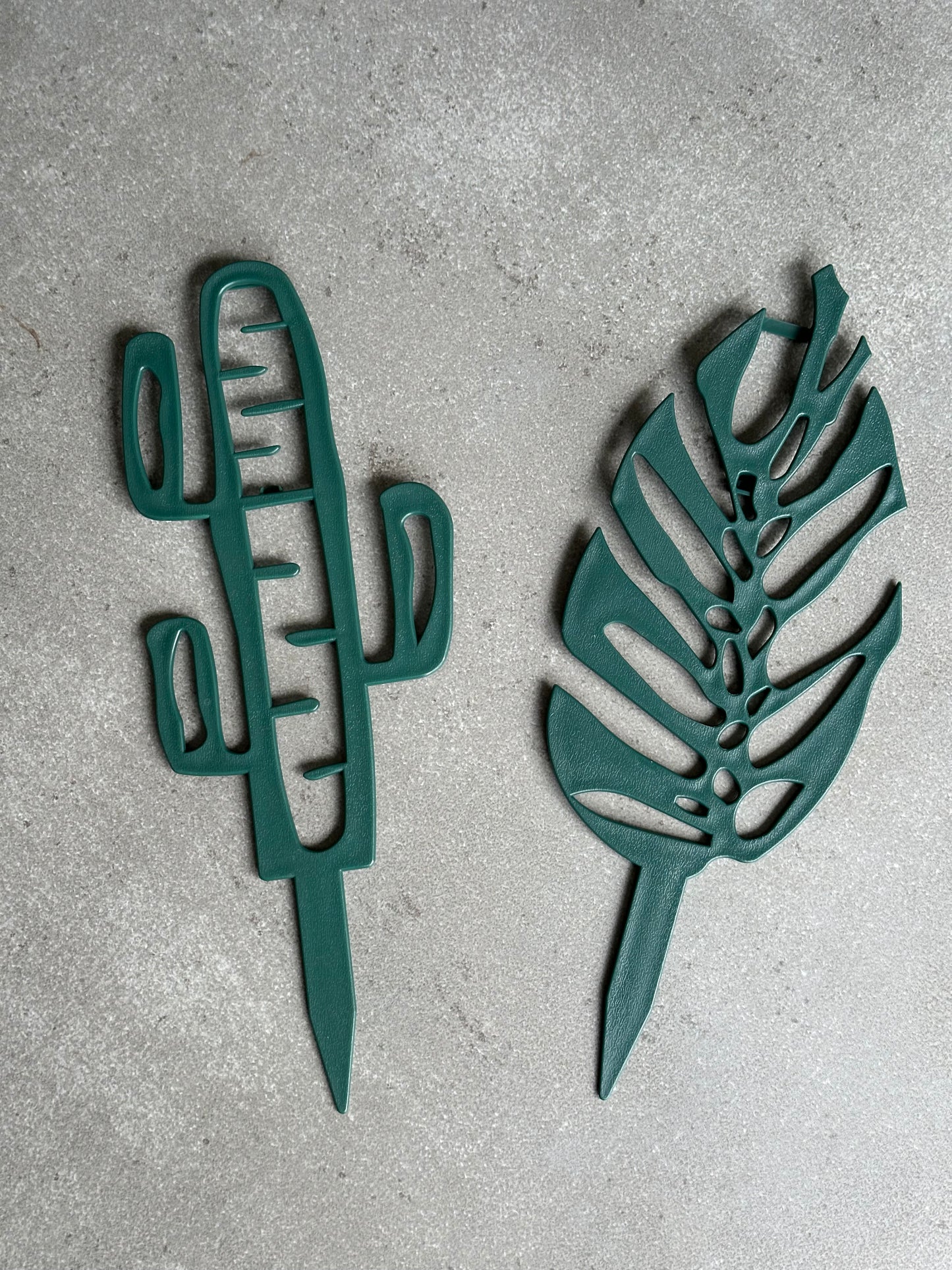 Tuteur Monstera / Cactus