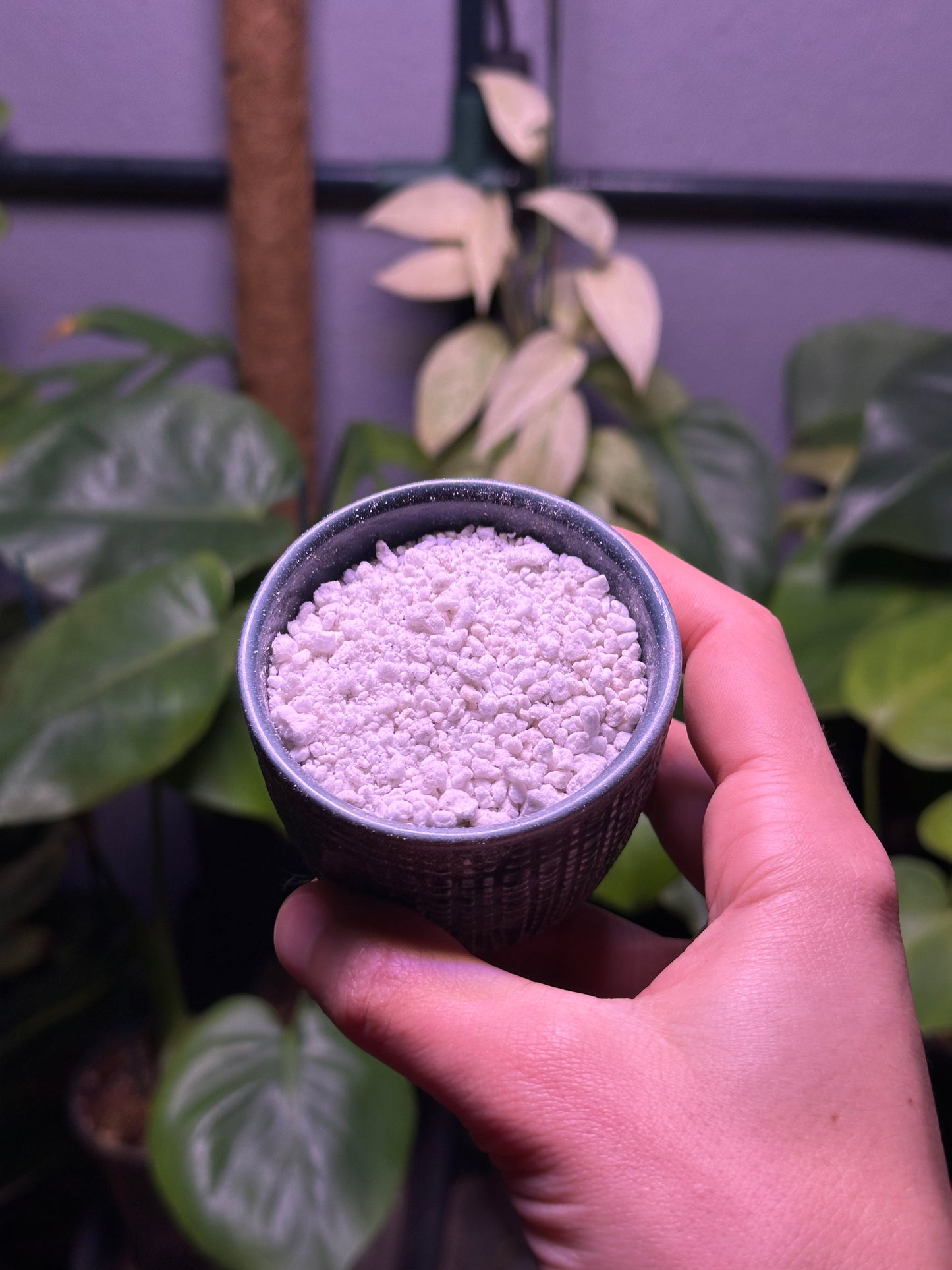 Perlite