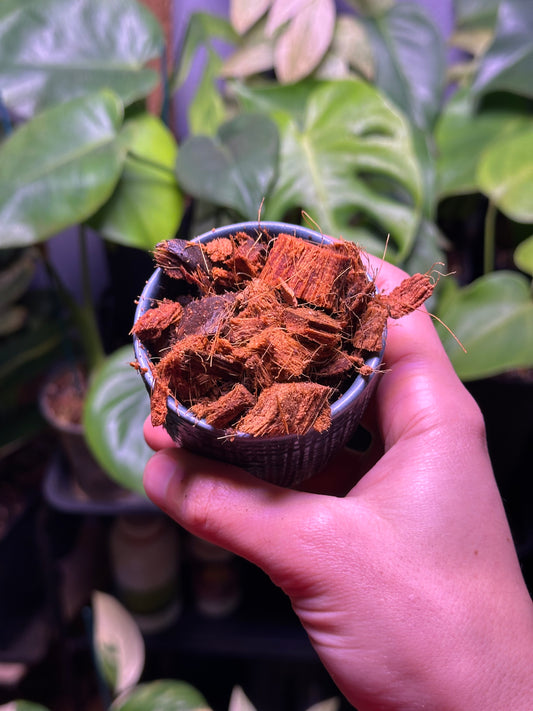Chips de coco