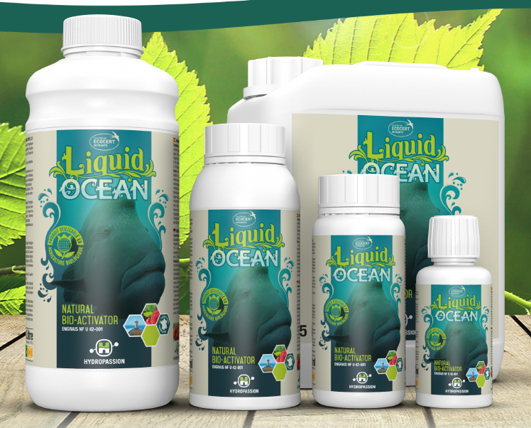 Liquid Océan 100mL - Hydropassion