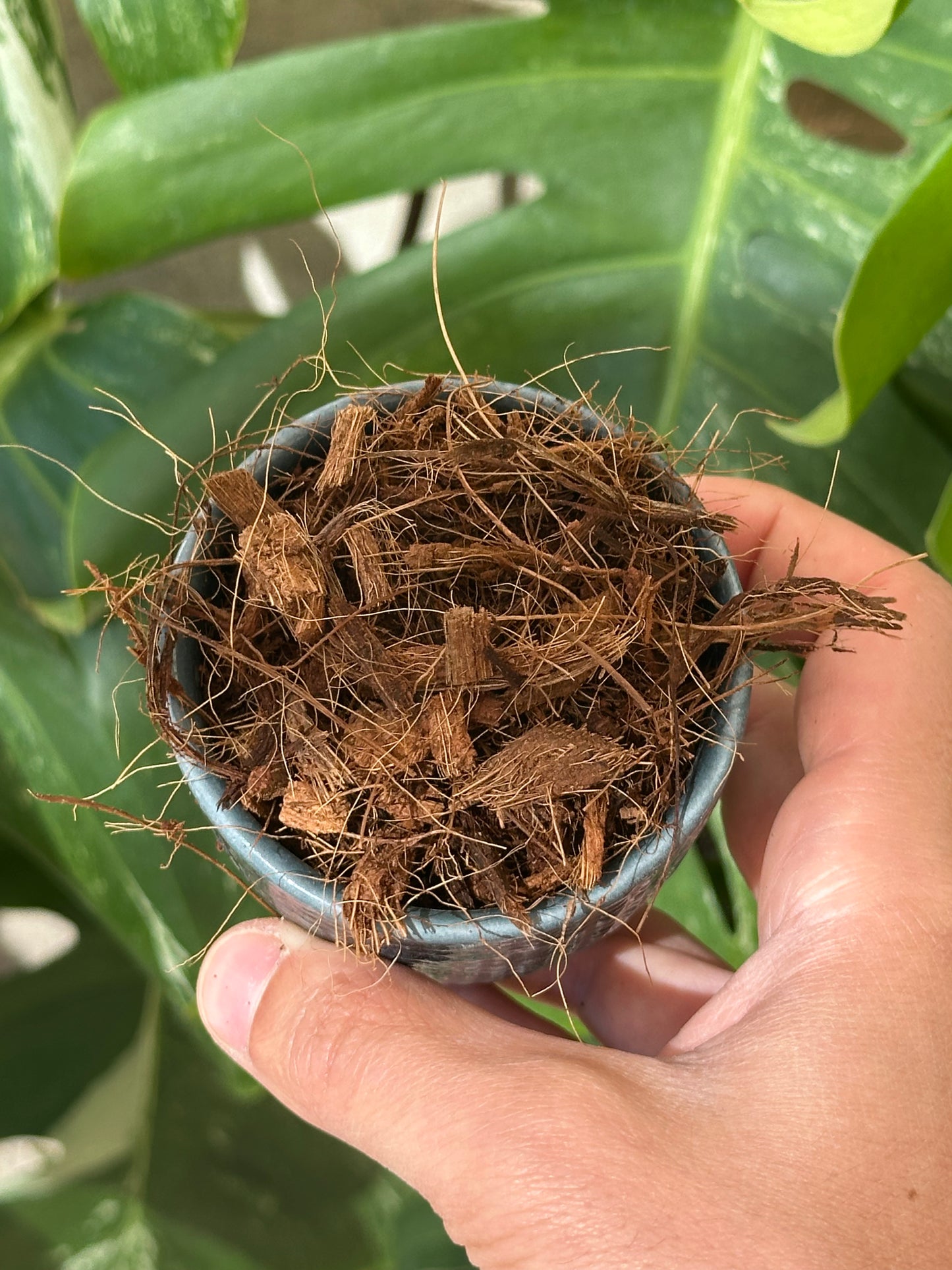 Broyat de coco 10/20mm