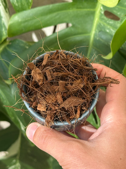 Broyat de coco 10/20mm
