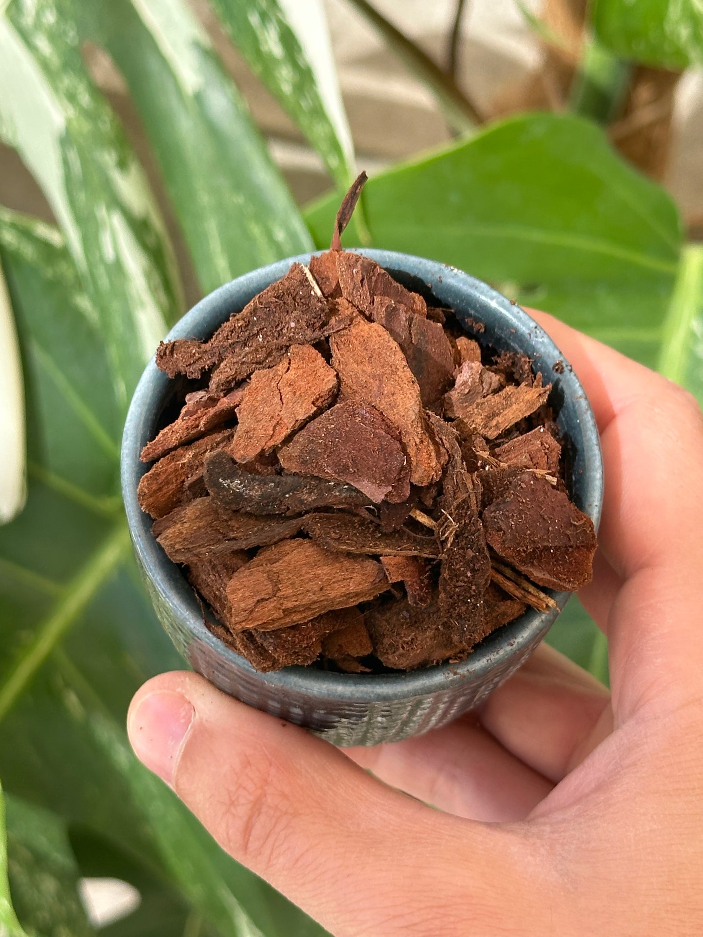 Ecorce de pin 10/25mm